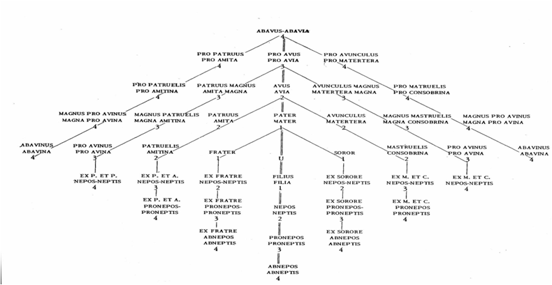 libert woordenboek 2